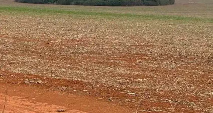 Fazenda dupla aptidão com 350 alqueires em cidade ocidental - go