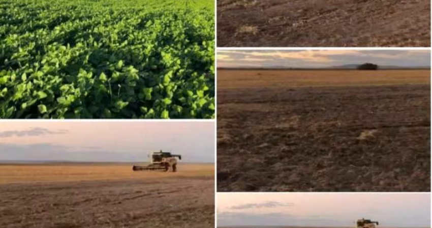 FAZENDA DUPLA APTIDÃO COM 2.507 ALQUEIRES EM ARINOS - MG
