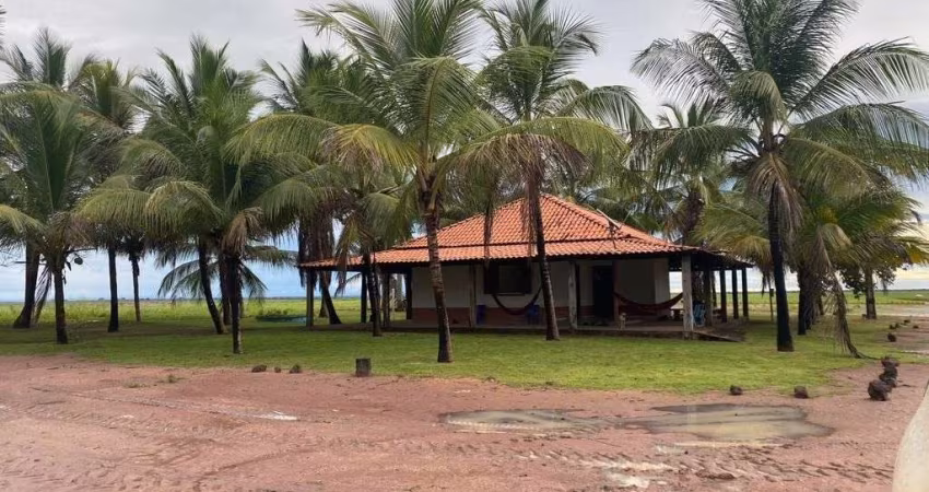 FAZENDA COM 5.600 HECTARES PARA AGRICULTURA EM SANTA QUITÉRIA DO MARANHÃO - MA