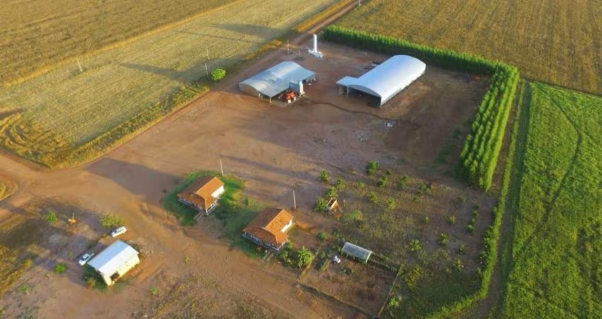 FAZENDA DUPLA APTIDÃO COM 4.600 HECTARES EM GAÚCHA DO NORTE - MT