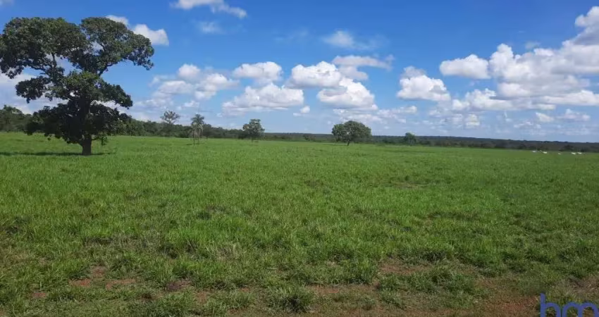 Fazenda dupla aptidão com 230 alqueires em marianópolis do tocantins - to  no vale do araguaia