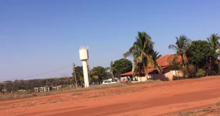 FAZENDA PARA AGRICULTURA EM CANA COM 1.029 ALQUEIRES PAULISTAS EM SUD MENNUCCI - SP