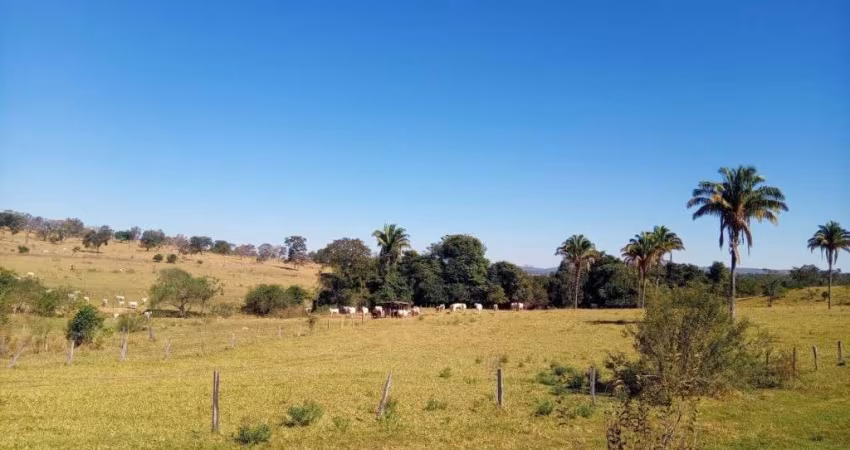 FAZENDA DUPLA APTIDÃO COM 183 ALQUEIRES EM CALDAS NOVAS - GO