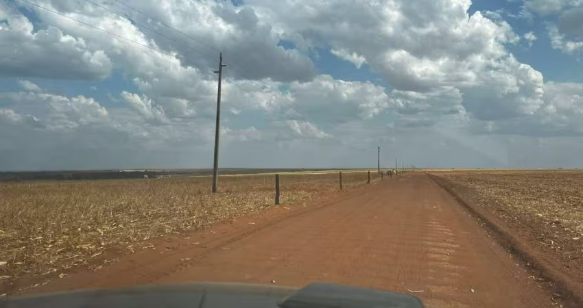 FAZENDA PARA AGRICULTURA COM 595 ALQUEIRES EM NOVA XAVANTINA - MT