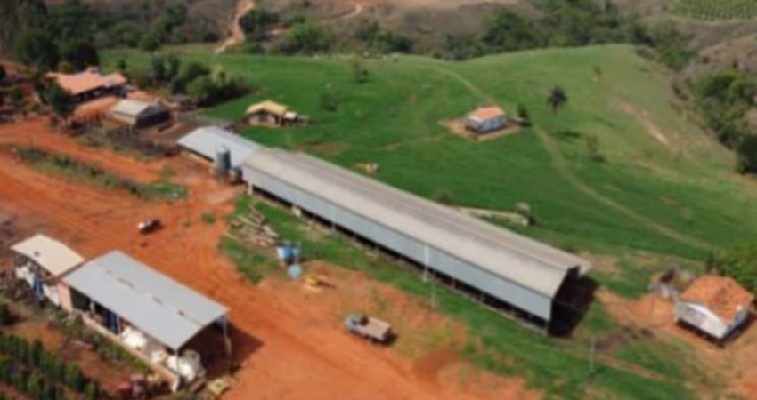 FAZENDA DUPLA APTIDÃO COM 140 ALQUEIRES PAULISTAS  NO MUNICÍPIO DE SÃO ROQUE DE MINAS - MG