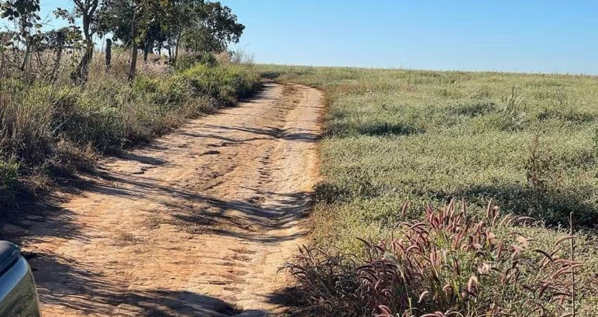 FAZENDA PARA AGRICULTURA COM 45 ALQUEIRES EM IPAMERI - GO