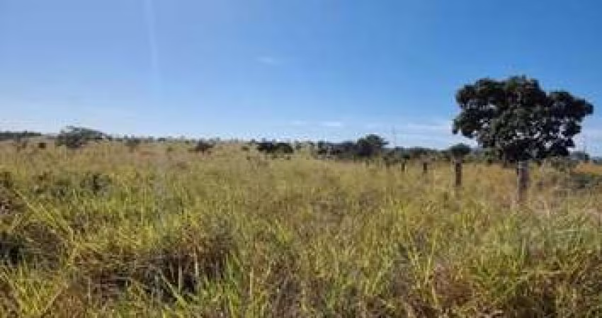 FAZENDA COM 500 ALQUEIRES DUPLA APTIDÃO NO MUNICÍPIO DE BOM JARDIM DE GOIÁS - GO