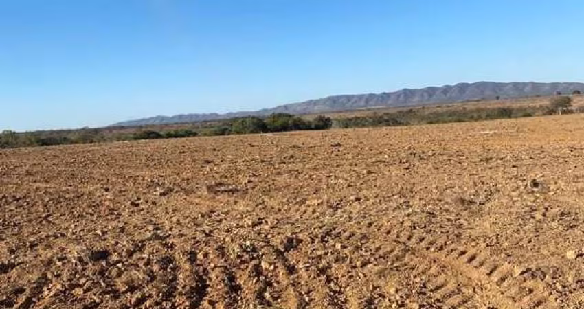 FAZENDA COM 602 ALQUEIRES DUPLA APTIDÃO NO MUNICÍPIO DE SÃO JOÃO D'ALIANÇA - GO