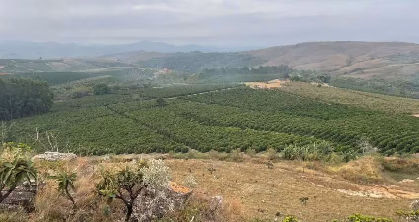 Fazenda com 10 alqueires paulistas para agricultura em café em capitólio - mg