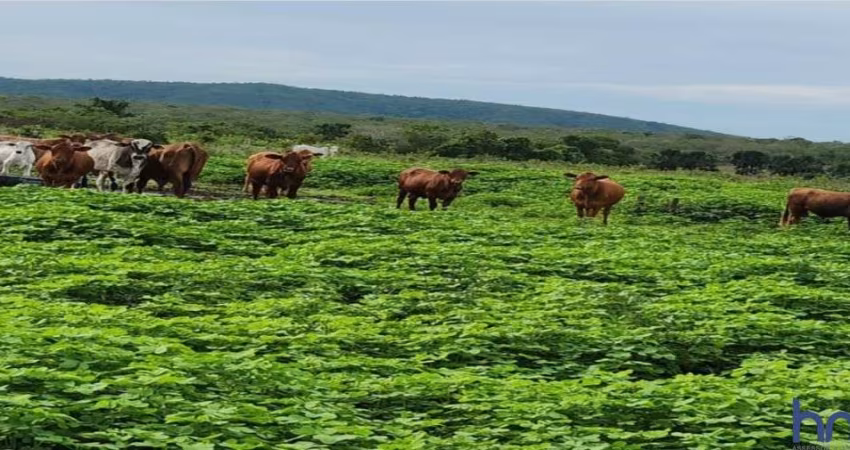 FAZENDA COM 1.043 ALQUEIRES DUPLA APTIDÃO EM SÃO VALÉRIO DA NATIVIDADE -TO