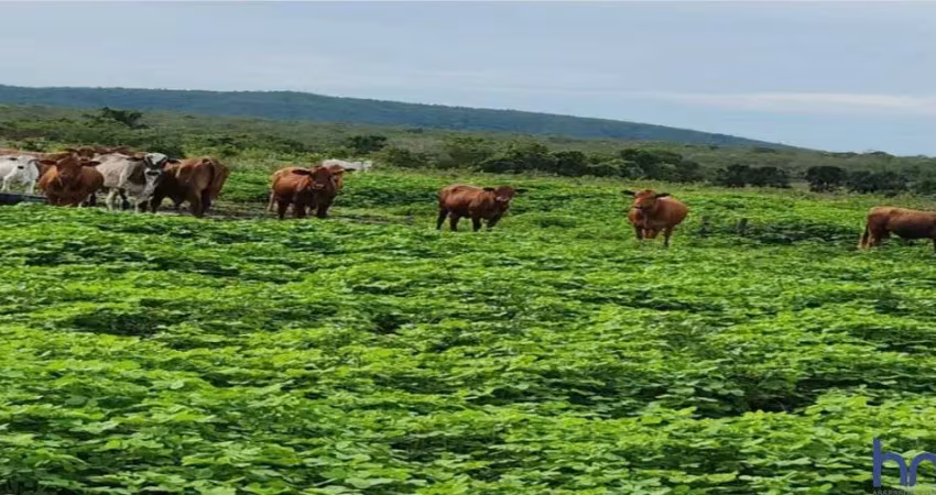 Fazenda com 1.043 alqueires dupla aptidão em são valério da natividade -to