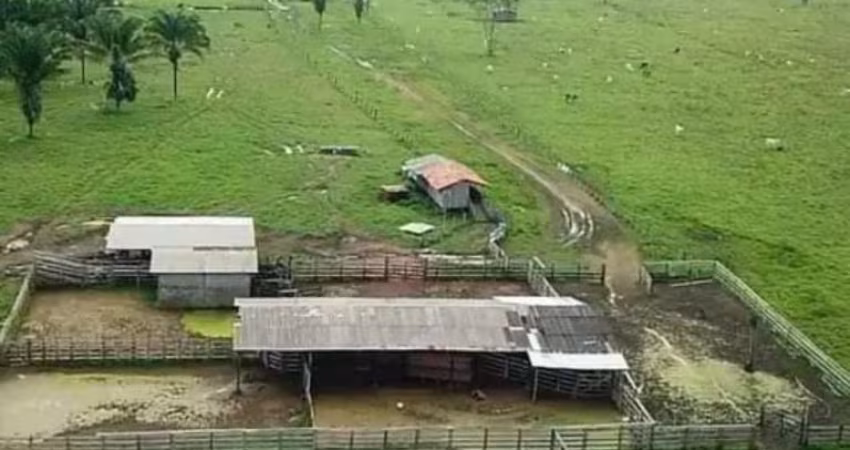 FAZENDA COM 220 ALQUEIRES DUPLA APTIDÃO NO MUNICÍPIO DE SÃO FÉLIX DO XINGU - PA