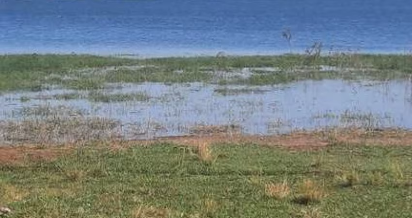 FAZENDA PARA AGRICULTURA EM CANA COM 90 ALQUEIRES PAULISTAS EM GUARACI - SP