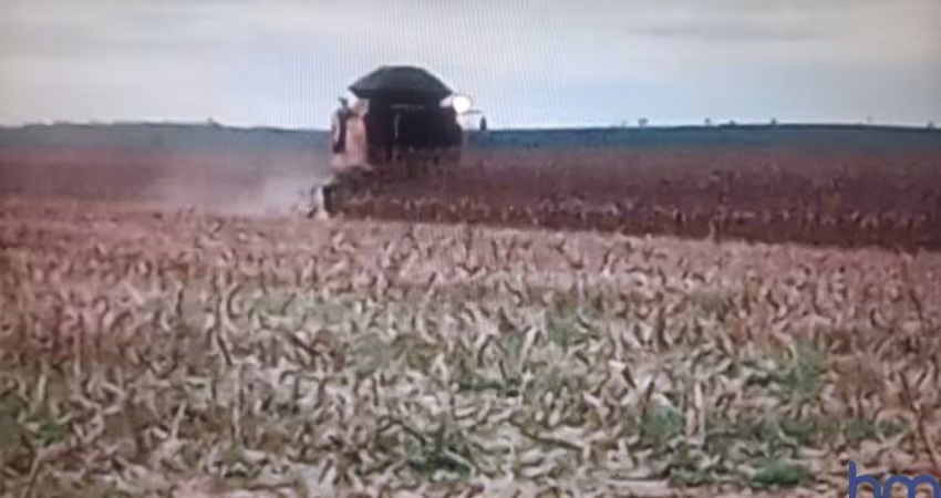 FAZENDA COM 420 ALQUEIRES DUPLA APTIDÃO NO MUNICÍPIO DE FORTALEZA DO TABOCÃO - TO