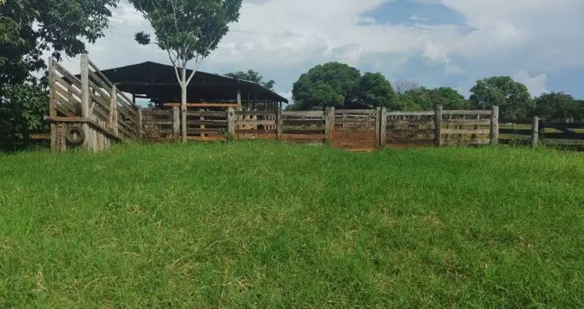 Fazenda dupla aptidão com 288 alqueires em marianópolis do tocantins - to  no vale do araguaia
