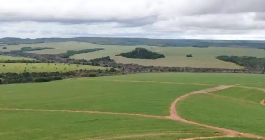 Fazenda com 207 alqueires dupla aptidão com cana em mineiros - go