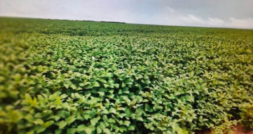 FAZENDA DUPLA APTIDÃO COM 22.126 HECTARES EM SÃO FÉLIX DE BALSAS - MA