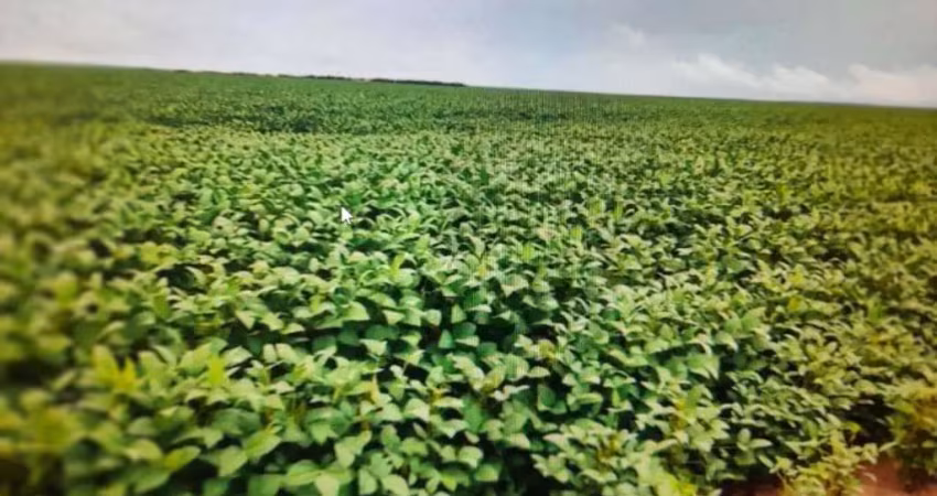 Fazenda dupla aptidão com 22.126 hectares em são félix de balsas - ma