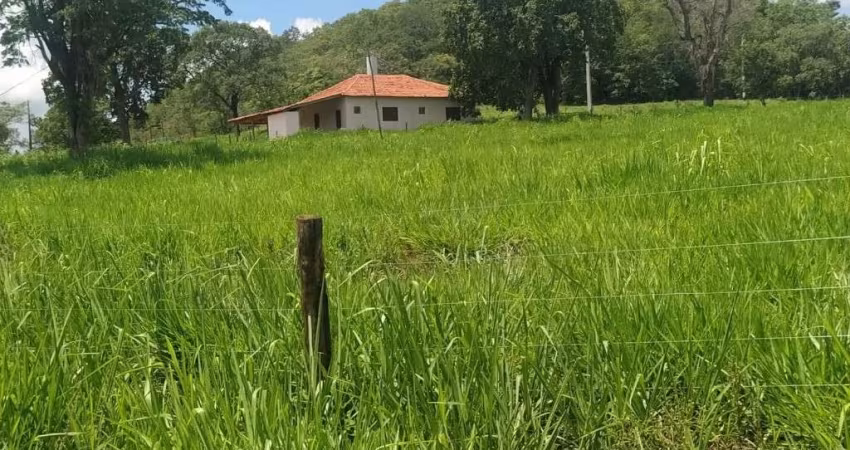 FAZENDA DUPLA APTIDÃO COM 16,5 ALQUEIRES EM CAMPINA VERDE - MG