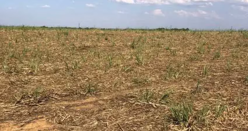 Fazenda para agricultura em cana com 81 alqueires em uruaçu - go
