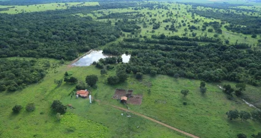 FAZENDA DUPLA APTIDÃO COM 435 ALQUEIRES EM NOVO PLANALTO - GO