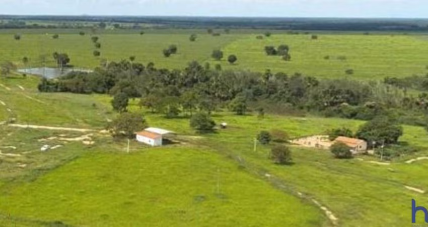 FAZENDA DUPLA APTIDÃO COM 100 ALQUEIRES EM SUCUPIRA - TO