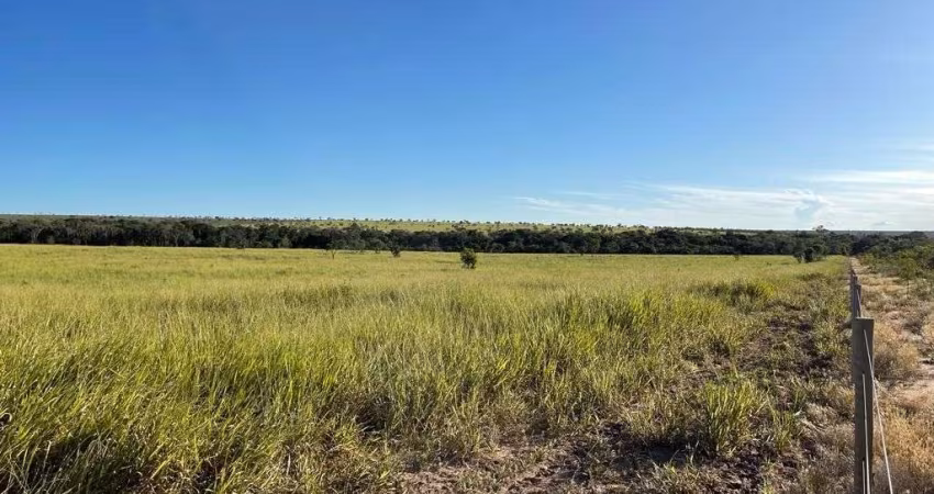 FAZENDA DUPLA APTIDÃO COM 548 ALQUEIRES EM NOVA LACERDA - MT