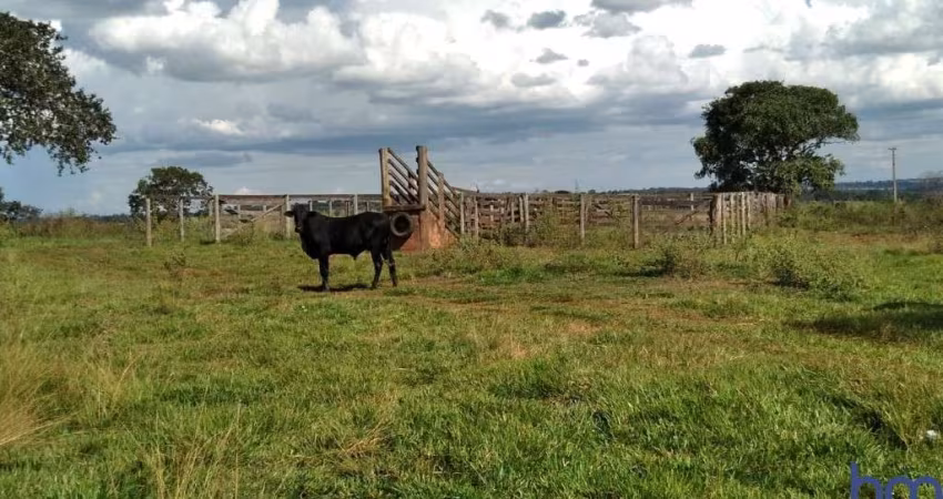 FAZENDA COM 15 ALQUEIRES DUPLA APTIDÃO NO MUNICÍPIO DE CAMPINA VERDE - MG