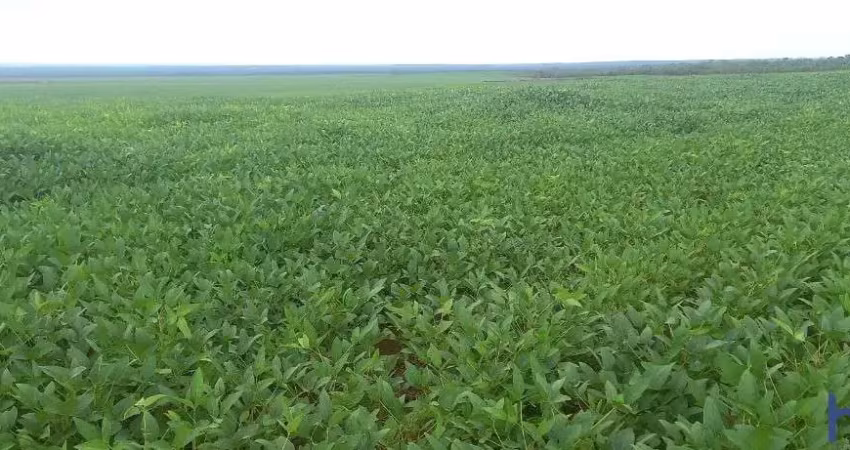 Fazenda para agricultura com 10.000 hectares em pedro afonso - to