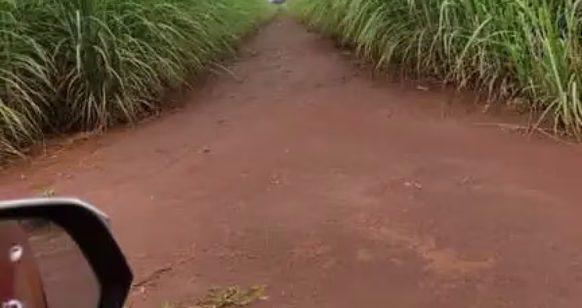 Fazenda dupla aptidão com 124 alqueires em paraúna - go