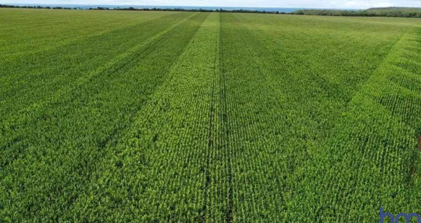 Fazenda com 764 alqueires para agricultura no município de diamantino - mt