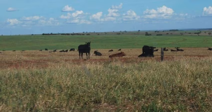FAZENDA DUPLA APTIDÃO COM 6.200  HECTARES EM CAMAPUÃ-MS