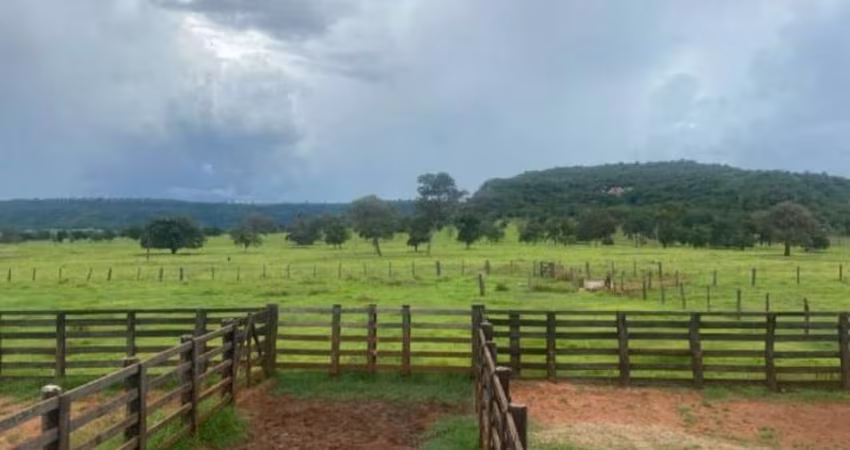 FAZENDA DUPLA APTIDÃO COM  295 ALQUEIRES NO MUNICÍPIO DE ITARUMÃ - GO