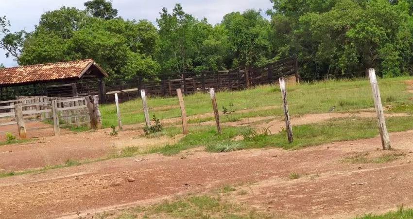 FAZENDA 1.510 ALQUEIRES DE DUPLA APTIDÃO EM SILVANÓPOLIS-TO
