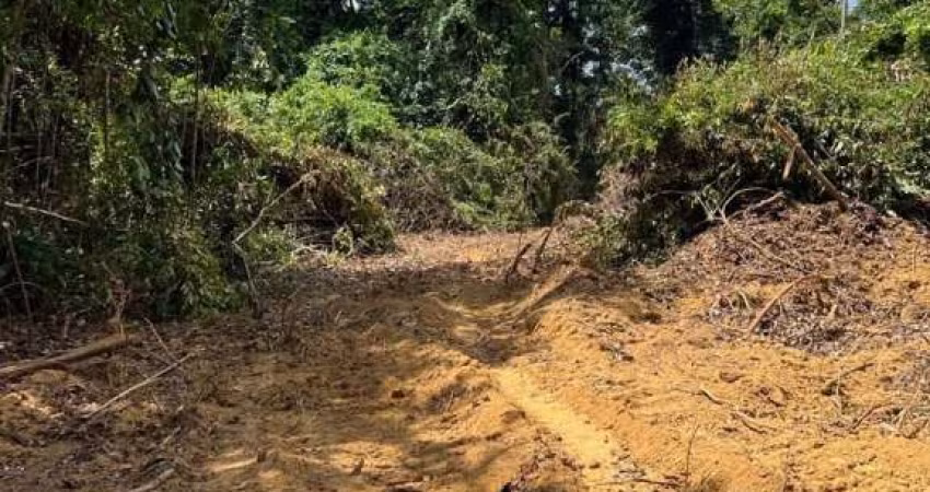 FAZENDA BRUTA DE 1.700 ALQUEIRES DUPLA APTIDÃO EM ULIANÓPÓLIS-PA