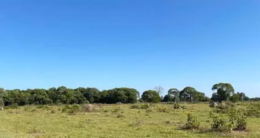 Fazenda dupla aptidão com 447 alqueires em são miguel do araguaia - go