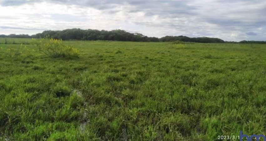 FAZENDA PARA PECUÁRIA COM 800 ALQUEIRES PAULISTAS EM AQUIDAUANA - MS