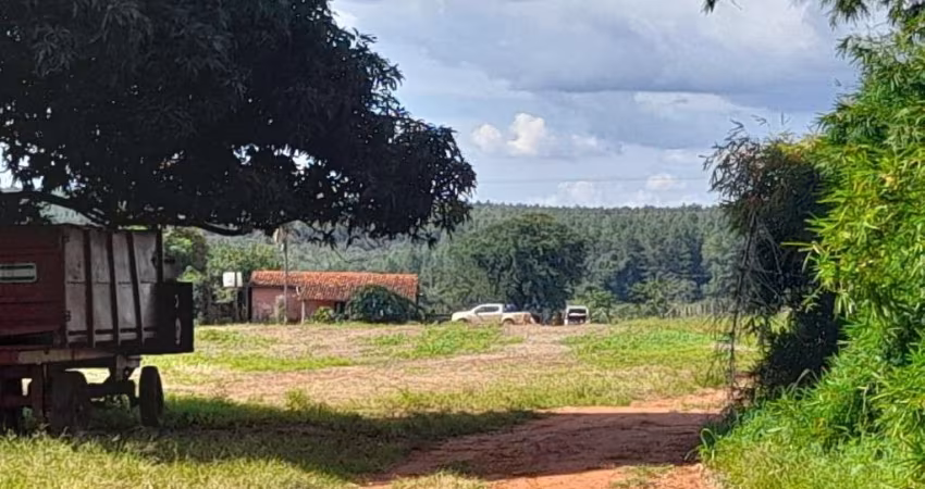 FAZENDA 108 ALQUEIRES DUPLA APTIDÃO NO PRATA-MG
