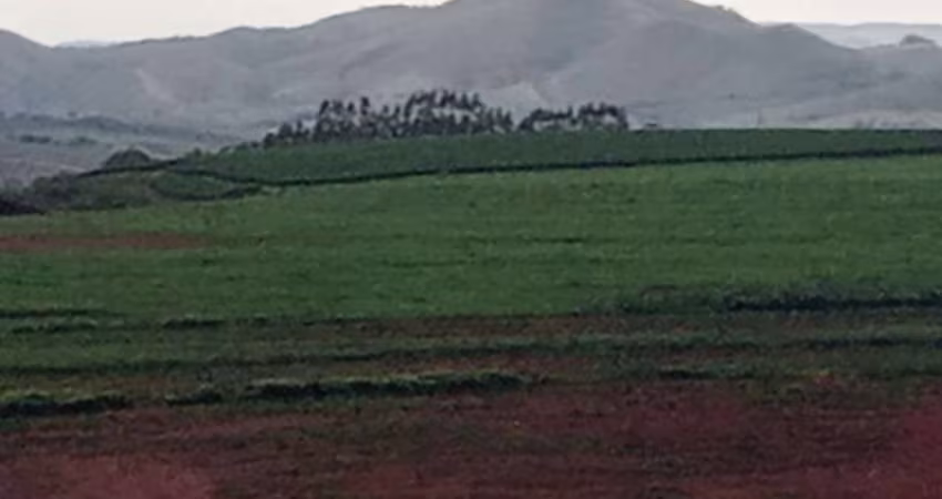 FAZENDA DUPLA APTIDÃO COM 28 ALQUEIRES PAULISTAS EM VARGEM BONITA-MG