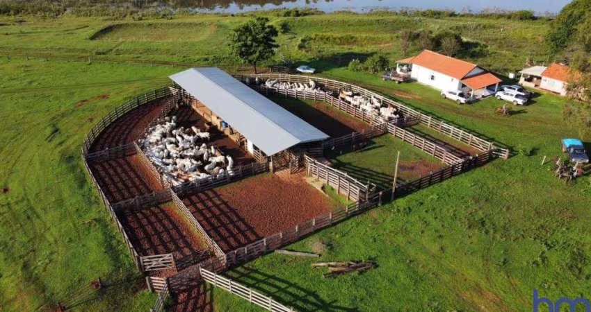 FAZENDA COM 401 ALQUEIRES PAULISTAS DUPLA APTIDÃO EM NOVA ANDRADINA - MS