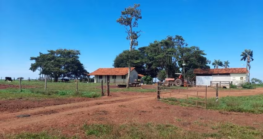 FAZENDA DUPLA APTIDÃO 145 ALQUEIRES EM CAMPINA VERDE