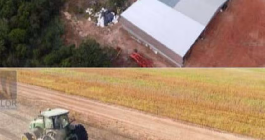 FAZENDA DUPLA APTIDÃO COM 690 ALQUEIRES EM ARAGUAÍNA - TO