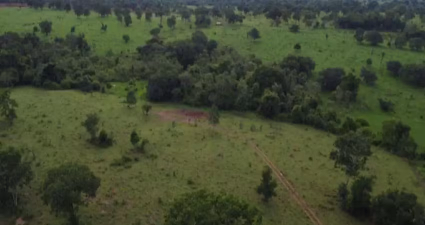 Fazenda dupla aptidão com 210 alqueires em alto horizonte - go