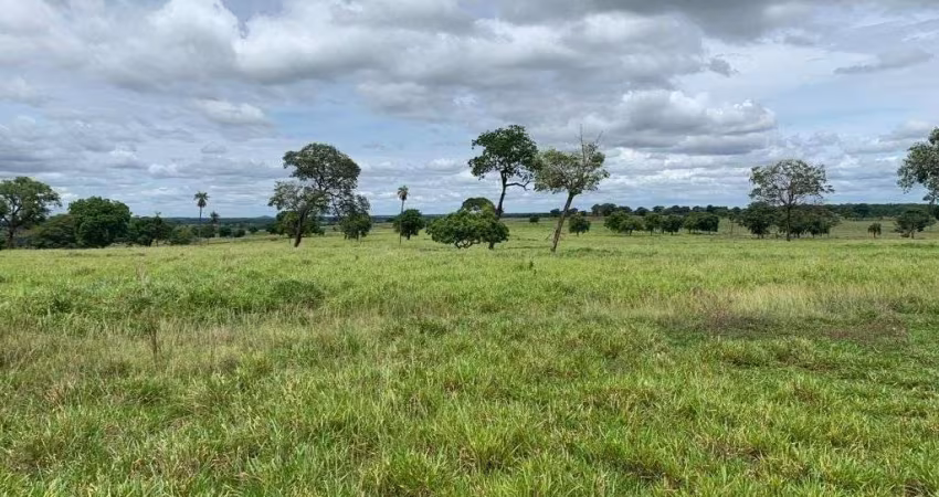 FAZENDA DUPLA APTIDÃO 33 ALQUEIRES EM UNIÃO DE MINAS-MG
