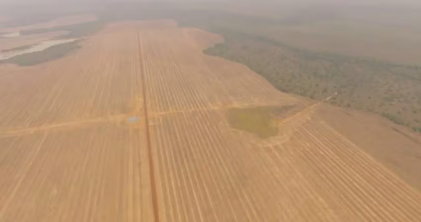 Fazenda com 514 alqueires dupla aptidão em água boa - mt