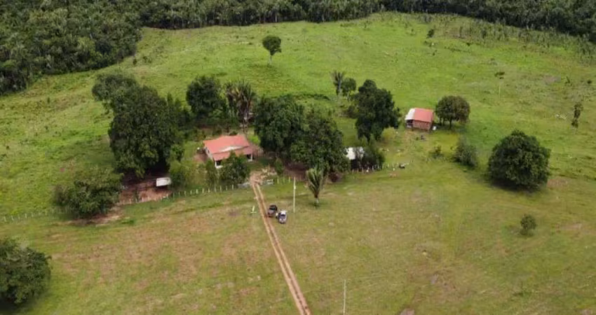 Fazenda com 254 alqueires para pecuária no município de miranorte - to
