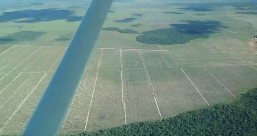 Fazenda dupla aptidão com 9.090 alqueires no município de santana do araguaia - pa
