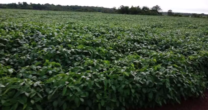 Fazenda com 1.050 alqueires dupla aptidão no município de santana do araguaia - pa