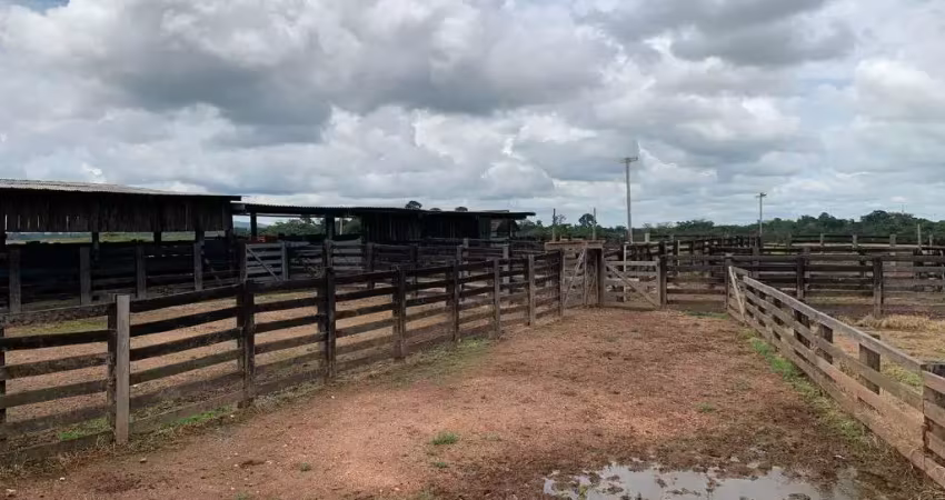 Fazenda com 600 alqueires dupla aptidão em são félix do xingu - pa