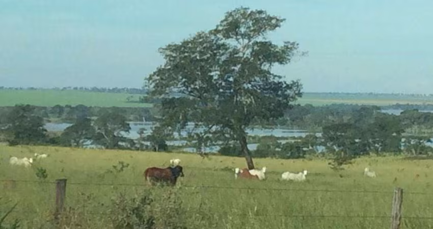 FAZENDA DUPLA APTIDÃO 440 ALQUEIRES CACHOEIRA ALTA-GO